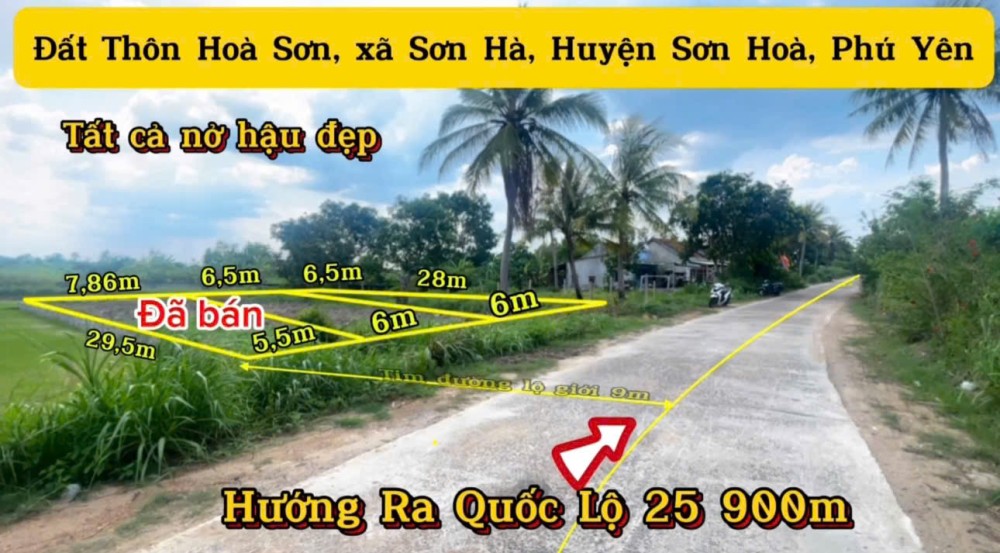 Hoa Son Son Ha Son Hoa